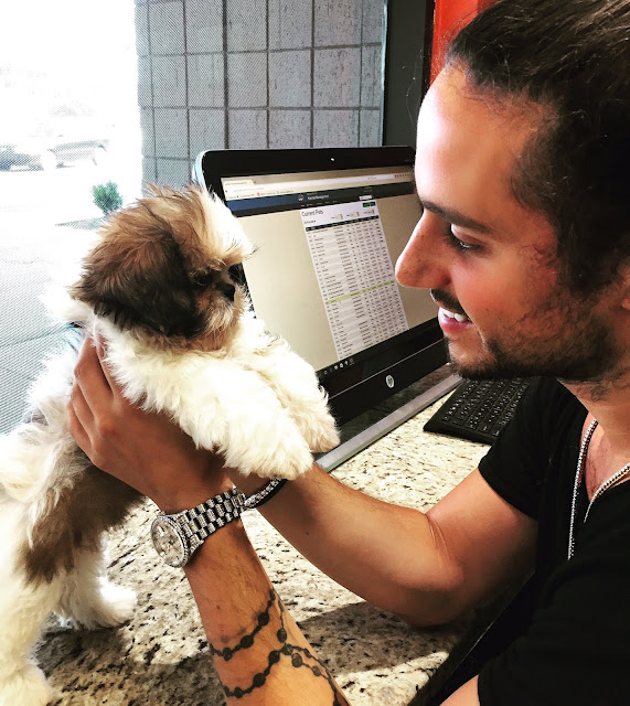 living with shih tzu