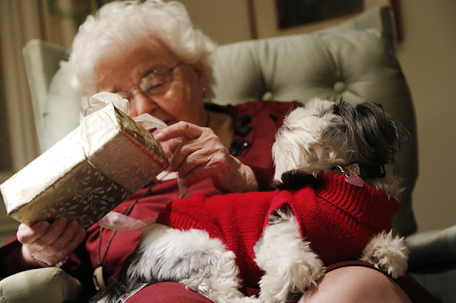 Shih Tzu and mother